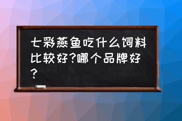 七彩燕鱼喂什么饲料好 七彩燕鱼吃什么饲料比较好?哪个品牌好？