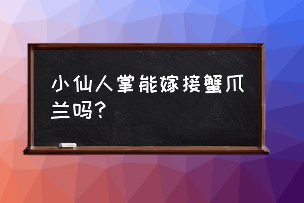 结果仙人掌能嫁接蟹爪兰吗 小仙人掌能嫁接蟹爪兰吗？