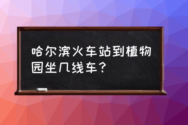 哈尔滨植物园怎么坐车 哈尔滨火车站到植物园坐几线车？