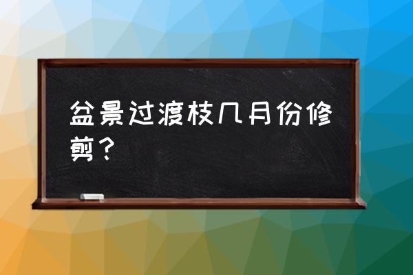 盆景什么时候修剪最好 盆景过渡枝几月份修剪？