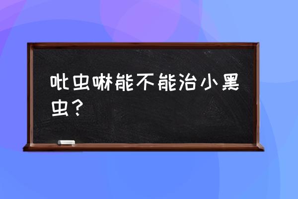 很小的虫子用什么杀虫剂 吡虫啉能不能治小黑虫？