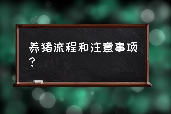 专业养猪虚注意什么 养猪流程和注意事项？