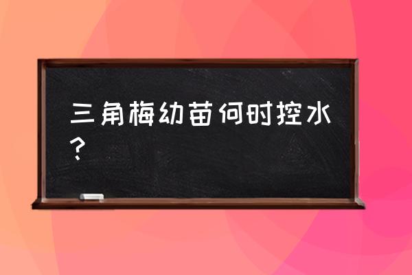 三角梅小苗能浇水吗 三角梅幼苗何时控水？