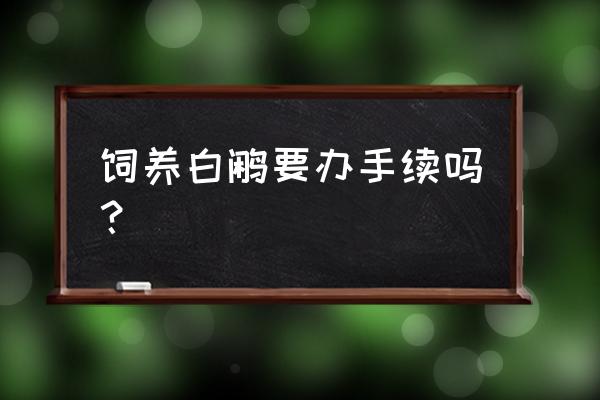 广东哪有白鹇养殖基地 饲养白鹇要办手续吗？