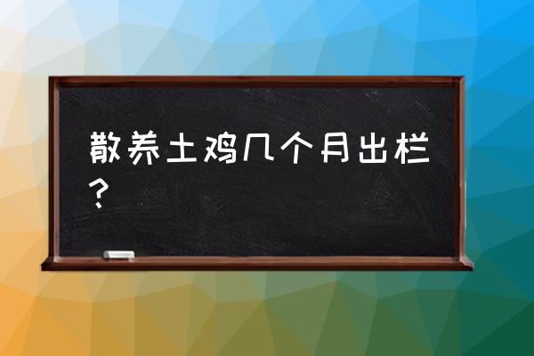 养鸡时间多久可以出栏 散养土鸡几个月出栏？