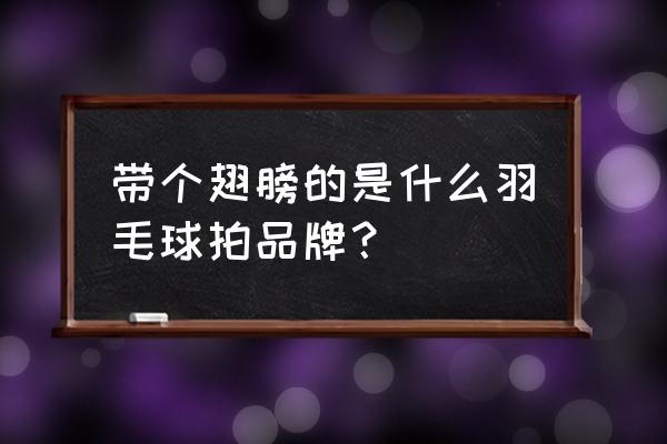 天津哪卖威克多羽毛球拍 带个翅膀的是什么羽毛球拍品牌？