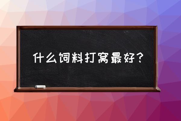 鱼饲料打窝怎么样 什么饲料打窝最好？