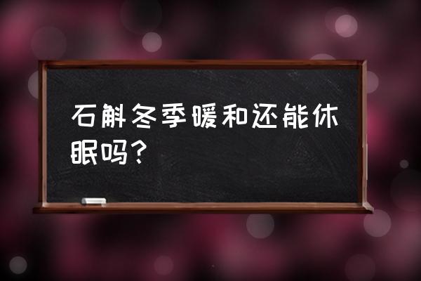 盆栽铁皮石斛过冬要搬回家里吗 石斛冬季暖和还能休眠吗？