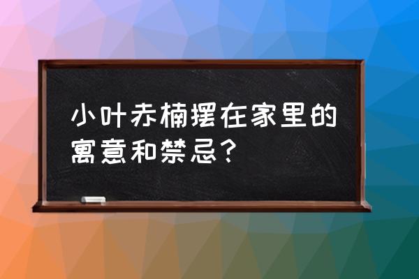 赤楠盆栽镇宅吗 小叶赤楠摆在家里的寓意和禁忌？