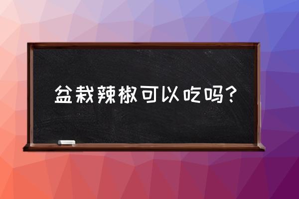 花盆种辣椒可以吃吗 盆栽辣椒可以吃吗？