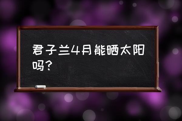 君子兰3月份能晒太阳吗 君子兰4月能晒太阳吗？