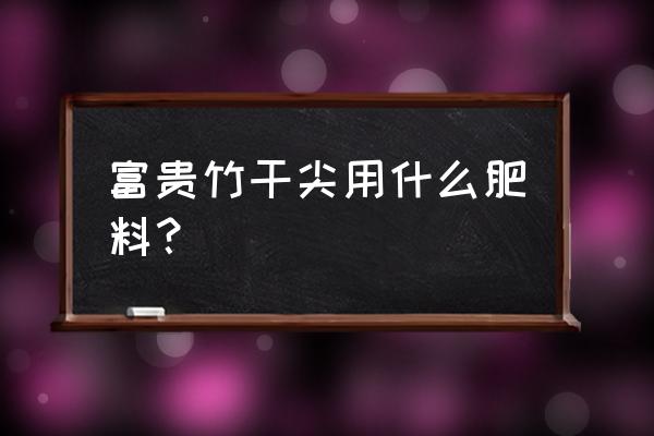 有机肥能养富贵竹吗 富贵竹干尖用什么肥料？