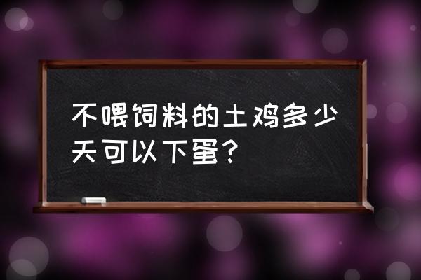 一个月的散养鸡多久能下蛋 不喂饲料的土鸡多少天可以下蛋？