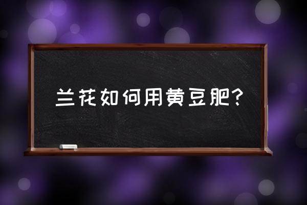 大寒里给兰花浇点黄豆水行吗 兰花如何用黄豆肥？