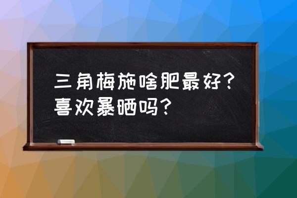 三角梅氮肥怎么施 三角梅施啥肥最好?喜欢暴晒吗？