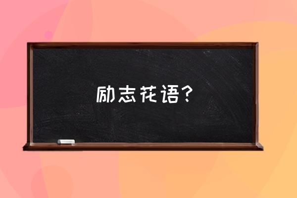 菊花代表什么信念 励志花语？