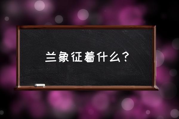 兰花的代表什么意义 兰象征着什么？