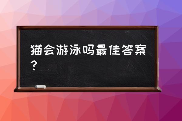 哪种猫喜欢游泳 猫会游泳吗最佳答案？