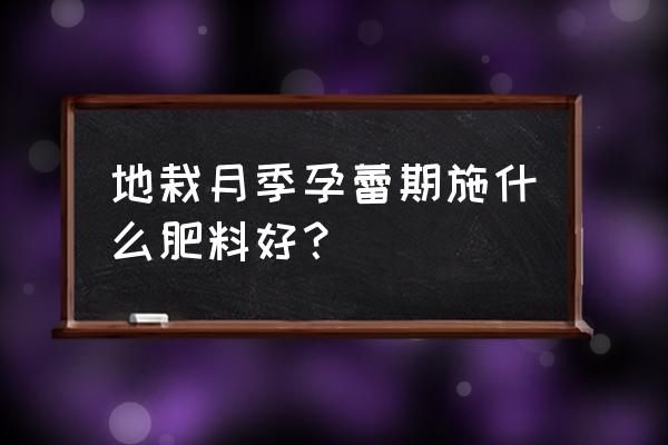 有机肥复合肥哪种更适合月季 地栽月季孕蕾期施什么肥料好？