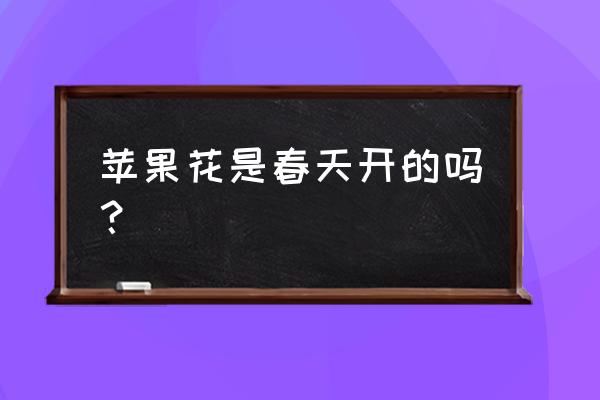 苹果树什么时候开花是什么颜色 苹果花是春天开的吗？