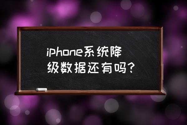 爱思助手怎样分类恢复数据 iphone系统降级数据还有吗？