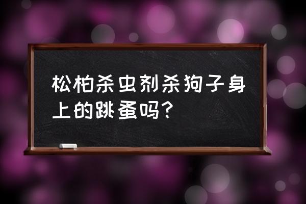 跳蚤粉和杀虫剂哪个有效 松柏杀虫剂杀狗子身上的跳蚤吗？