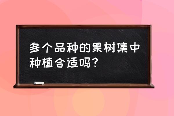 果园里各种果树兼作好吗 多个品种的果树集中种植合适吗？