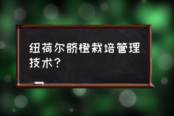 脐橙用什么复合肥的牌子 纽荷尔脐橙栽培管理技术？