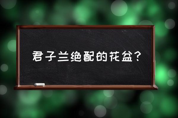 哪里有君子兰专用花盆买 君子兰绝配的花盆？