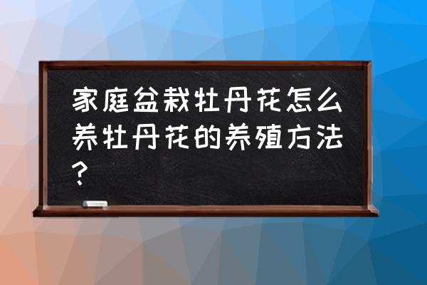 如何种养牡丹花盆栽 家庭盆栽牡丹花怎么养牡丹花的养殖方法？