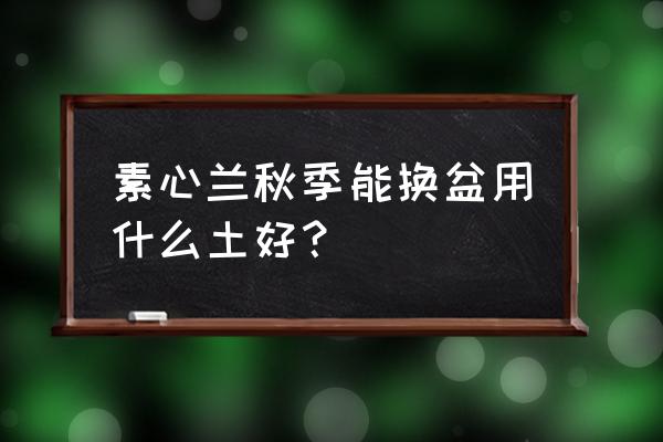 入秋后兰花可以换盆吗 素心兰秋季能换盆用什么土好？