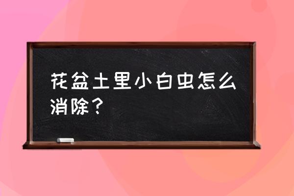 花盆土里小白虫怎么消除 花盆土里小白虫怎么消除？