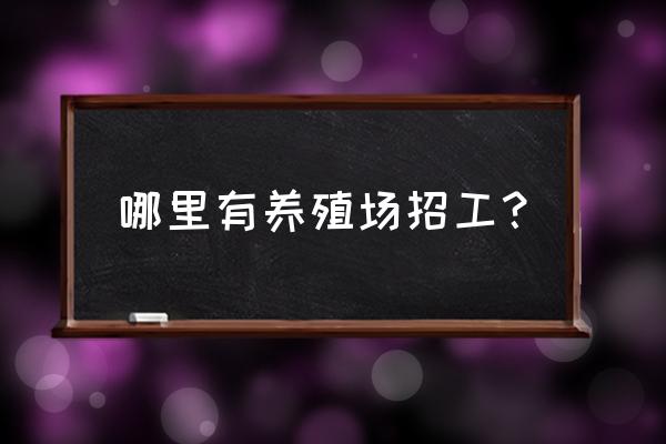 哪里有七彩山鸡养殖基地招工 哪里有养殖场招工？