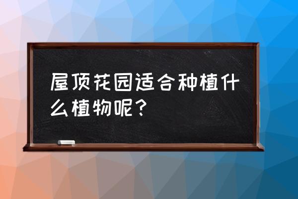 如何选择设计屋顶花园植物 屋顶花园适合种植什么植物呢？