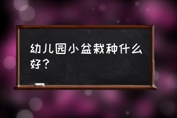 幼儿园适合带什么盆栽 幼儿园小盆栽种什么好？