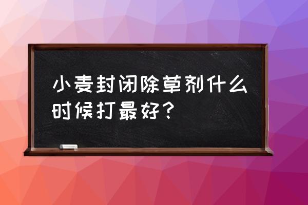 封麦田除草剂啥时间最佳 小麦封闭除草剂什么时候打最好？