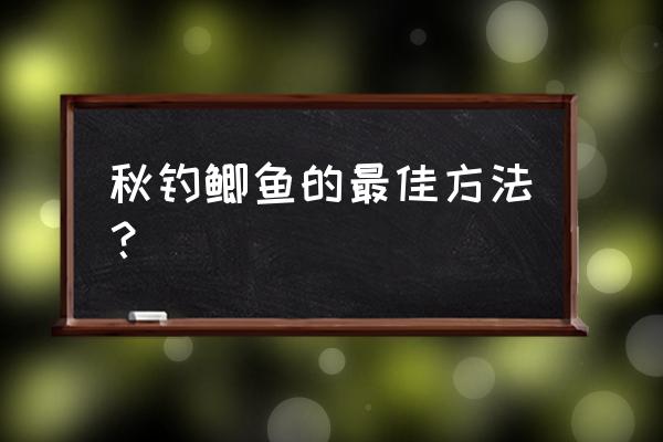 深秋鲫鱼怎么垂钓 秋钓鲫鱼的最佳方法？