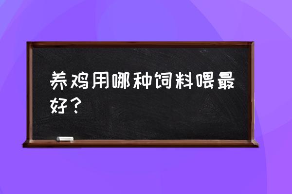 养殖场的鸡吃什么饲料 养鸡用哪种饲料喂最好？