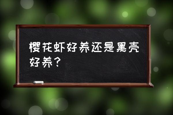 哪种观赏虾比较好养 樱花虾好养还是黑壳好养？