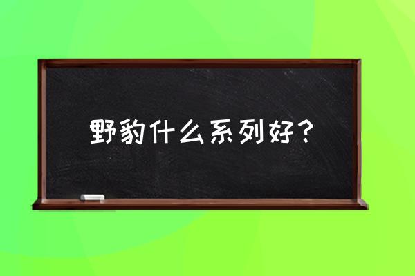 奥秘台球杆哪生产的 野豹什么系列好？