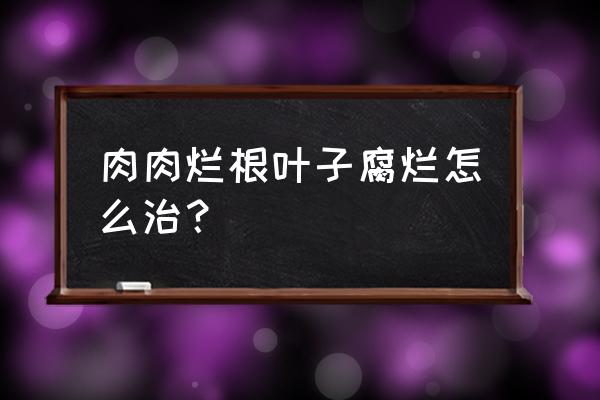 多肉植物烂根怎么办可以挽救吗 肉肉烂根叶子腐烂怎么治？