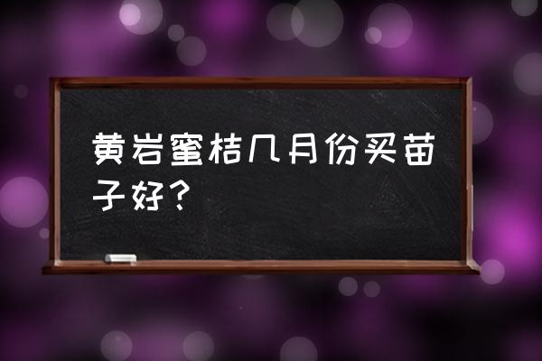 台州市桔子什么时候上市 黄岩蜜桔几月份买苗子好？