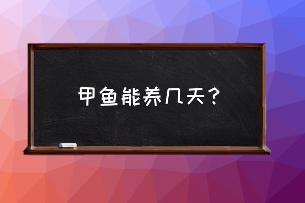 甲鱼养多久精湛甲肴水产 甲鱼能养几天？