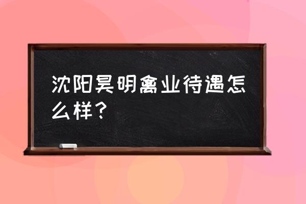 养鸡场抓鸡工一个月多少工资 沈阳昊明禽业待遇怎么样？