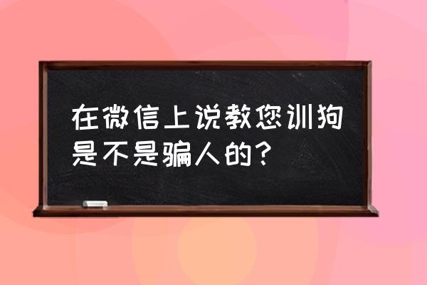 训狗微信一对一聊天安全吗 在微信上说教您训狗是不是骗人的？