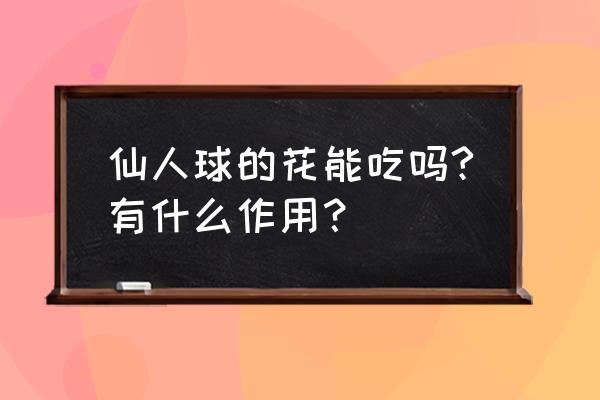 喝仙人掌花有什么作用 仙人球的花能吃吗?有什么作用？