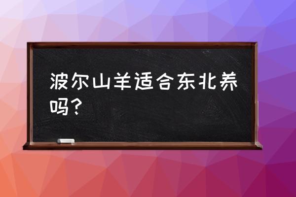 东北养波尔羊可以吗 波尔山羊适合东北养吗？