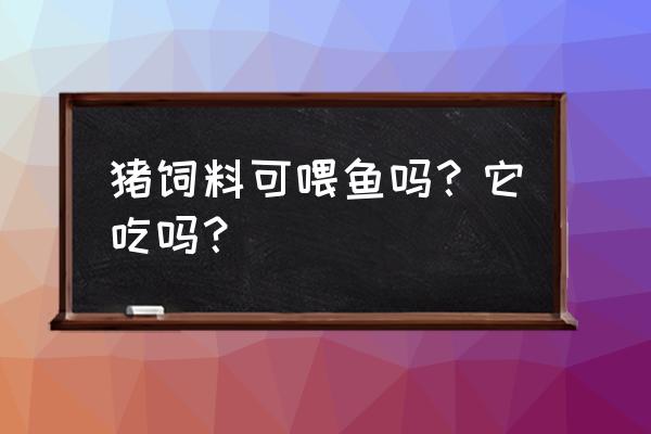 猪饲料能养鱼饲料吗 猪饲料可喂鱼吗？它吃吗？