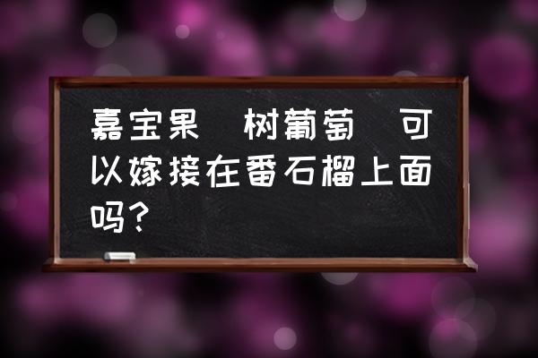 嘉宝果可以和什么果树嫁接 嘉宝果（树葡萄）可以嫁接在番石榴上面吗？