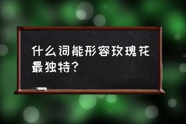 玫瑰花能用什么词语表达意思 什么词能形容玫瑰花最独特？